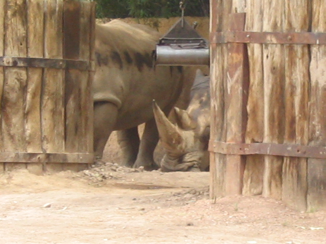 618x457 pixels (159K)